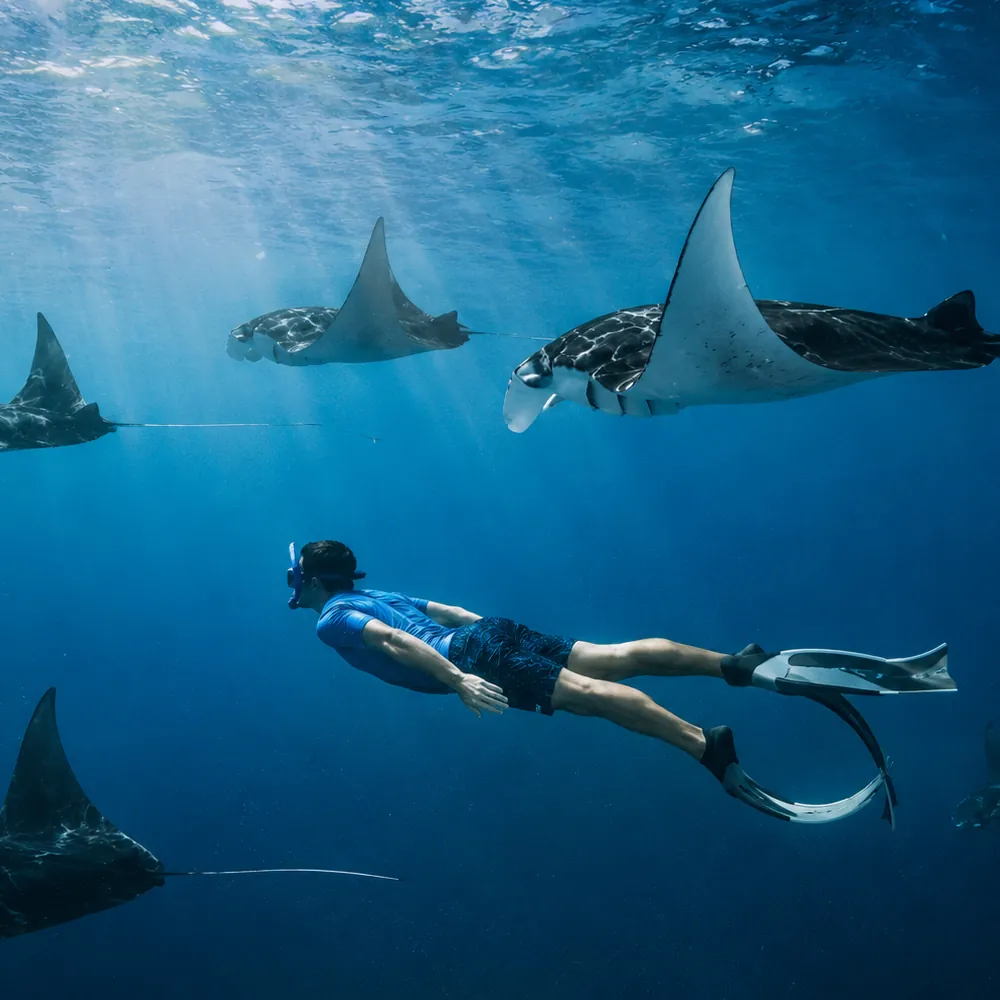 Nusa Penida tour moment 8